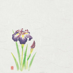 j[lG 5 i100j NS-7 ߁i5`6j 150×150mm( Lb`u` )