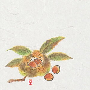 j[lG 5 i100j NS-13 Ii9`10j 150×150mm( Lb`u` )