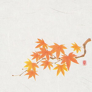 j[lG 5 i100j NS-14 Ԃ݂i9`11j 150×150mm( Lb`u` )