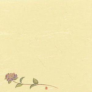 5 lG̉ i100j S5-6  150×150mm( Lb`u` )