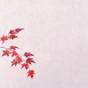 O~ 5i100jgt 150×150mm( Lb`u` )