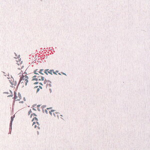 O~ 5i100jV 150×150mm( Lb`u` )