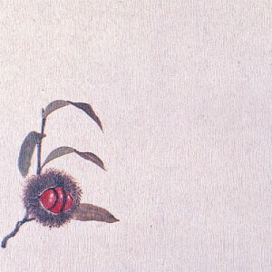 O~ 5i100jI 150×150mm( Lb`u` )