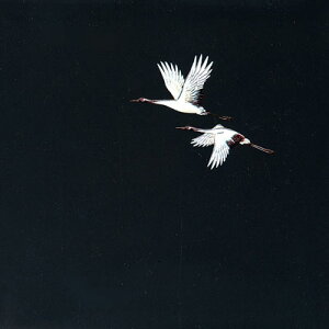 OP NAlG i200j  OS-15-1 150×150mm( Lb`u` )