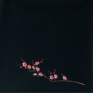 OP NAlG i200j ~ OS-12-5 120×120mm( Lb`u` )