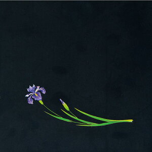 OP NAlG i200j  OS-15-7 150×150mm( Lb`u` )