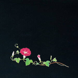 OP NAlG i200j  OS-18-8 180×180mm( Lb`u` )