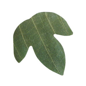 v`pt~i΁j50 23921 Ō^ 65×60mm( Lb`u` )