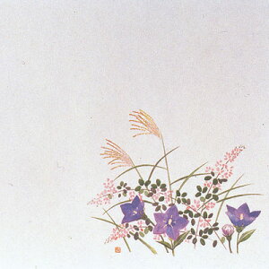 ԕۑN  i100jH i8`10j( Lb`u` )