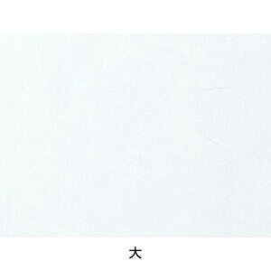 Nxێai100j  Z6-17 195×180mm( Lb`u` )