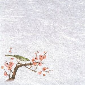 VEG򏑎i100j ~ i12`3j 200×200mm( Lb`u` )