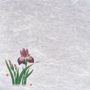 VEG򏑎i100j Ҋ i4`6j 200×200mm( Lb`u` )