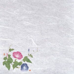 VEG򏑎i100j  i7`8j 200×200mm( Lb`u` )