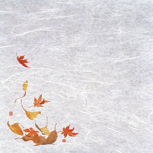 VEG򏑎i100j t i9`12j 200×200mm( Lb`u` )