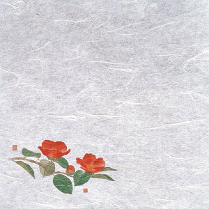 VEG򏑎i100j  i11`2j 200×200mm( Lb`u` )