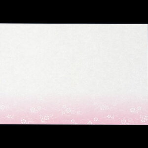 ڎO܂ ؂݁i100jȂł SAK-08 390×264mm( Lb`u` )