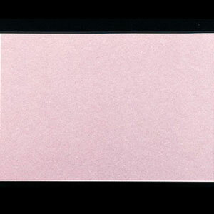 e[u}bgi100j ~ No.1102 375×255mm( Lb`u` )
