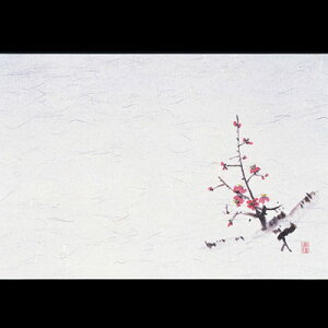 lGEi100j~ M30-204 390×265mm( Lb`u` )