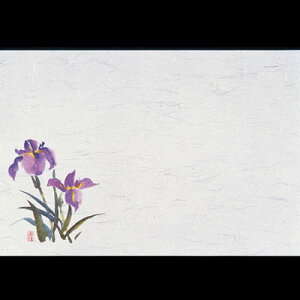 lGEi100j M30-207 390×265mm( Lb`u` )