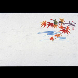 lGEi100j݂ M30-213 390×265mm( Lb`u` )