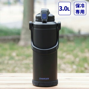 p[  3L t@Xg`[W[ WO3000 e }O {g XeX ۗp @r vbV bNt ⋋ ^ X|[c 