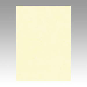 ebN j[J[4100 N[ GO4NCR-112