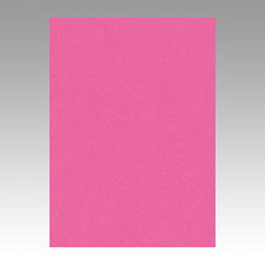 ebN j[J[4100  GO4NCR-232