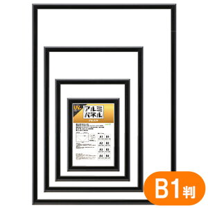 z Apl 5016-B1-B