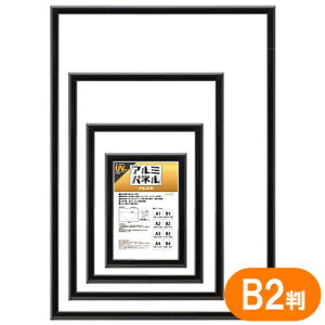 z Apl 5016-B2-B