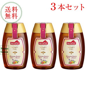 SlN^t[@݂͂@Ԕ@250g@3{ZbgyAHiz