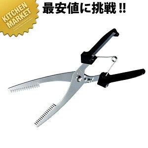 ͂΂ SK-4049 ykmaaz ͂oT~ oT~ nT~