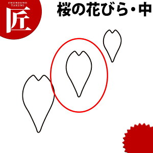 ̐ ^ ̉Ԃт  #2ykmaaz ؔ^ Ɩpؔ^ ^ ٓ  Ɩp  TN  