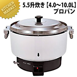 �����i�C �K�X���ъ� RR-550C 5.5������ �y4.0�`10.0L�z �v���p���K�X (LP�K�X) �ykmaas�z �Ɩ��p���ъ� �K�X���ъ� ���ъ� �z�e�� ���X�g���� ���H�X ���H �H�� ���h �H�ו��� �Ɩ��p ��������