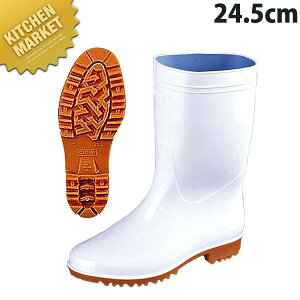 Oi ]i G3C 24.5cm ykmaaz RbNV[Y ~[ C ~[C ~[V[Y ϖ R hJr Ɩp