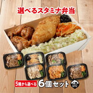 冷凍弁当 ご飯付き【選べる！お肉たっぷりスタミナ弁当(5種6個)】お試し 弁当 肉 宅配 冷凍 おかず 電子…