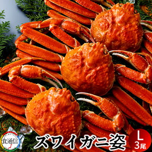 킢Ɏp 1.5kgi3j{C  킢I YCKj p Jj~\ Jj ĂKj ii k̑n Yn  ߁mΕ NX}Xv[g ӂ邳ƃMtgn