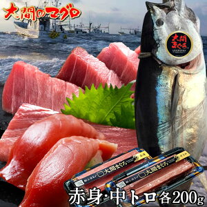 Ԃ̃}OmԐgEgZbg e200gn܂ { N}O ԎY VR{}O Ԃ̂܂ {ނ ܂ hgp ԍ`  ܂닙tmΕ NX}Xv[