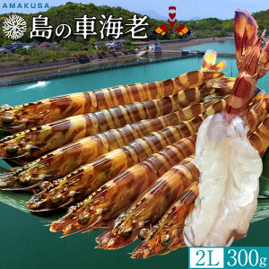 ̎ԊCVmVѐn ܂ Ԃъy2Lz300gm7-9n炿 V ԃGr hg F{Y N}Gr   xH ԂԁmΕ NX}Xv[