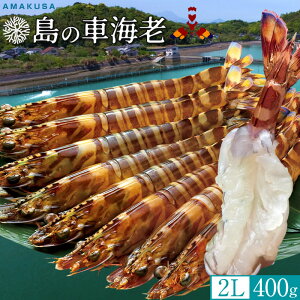 ̎ԊCVmVѐn ܂ Ԃъy2Lz400gm9-11n炿 V ԃGr hg F{Y N}Gr   xH ԂԁmΕ NX}Xv[