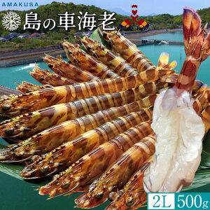 ̎ԊCVmVѐn ܂܁y2LzԂ 500gm12-14n炿 V ԃGr hg F{Y N}Gr   xH ԂԁmΕ NX}Xv[