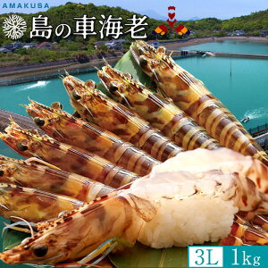 ̎ԊCV 3Lm\12{n1kgm15-23n܂ Ԃ hgp  炿 Vuh N}Gr F{Y  xH ԂԁmΕ NX}