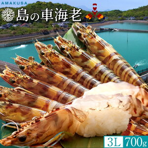 ̎ԊCV 3Lm\12{n700gm11-16n܂ Ԃ hgp  炿 Vuh N}Gr F{Y  xH ԂԁmΕ NX}