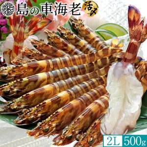 ̎ԊCV hgmVѐnYⓀ y2Lz500gm12-14nV 炿 Ԃ F{Y 쓇 N}Gr {B Ԃ GrtC ĂmΕ NX}Xv[g 