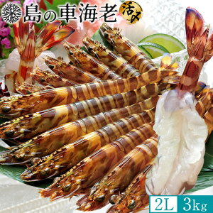 ̎ԊCV hgmVѐnYⓀ y2Lz3kgm72-84nV 炿 Ԃ F{Y 쓇 N}Gr {B H Ԃ GrtC ĂmΕ NX}Xv[