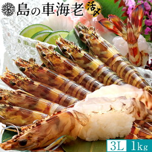 ̎ԊCV hgmVѐnYⓀ y3Lz1kgm15-23nV 炿 Ԃ F{Y 쓇 N}Gr {B H Ԃ GrtC ĂmΕ NX}Xv[