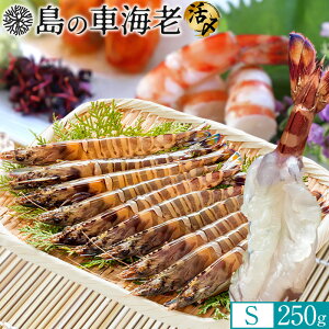 ̎ԊCV hg YⓀySz250gm12-13nV 炿 Ԃ F{Y 쓇 N}Gr {B H Ԃ GrtC ĂmΕ NX}Xv[g ӂ邳ƃMtg