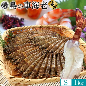 ̎ԊCV hg YⓀySz1kgm45-49nV 炿 Ԃ F{Y 쓇 N}Gr {B H Ԃ GrtC ĂmΕ NX}Xv[g ӂ邳ƃMtg