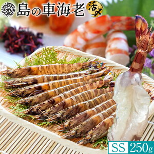 ̎ԊCV hg YⓀySSz250gm14-15nV 炿 Ԃ F{Y 쓇 N}Gr {B H Ԃ GrtC ĂmΕ NX}Xv[g ӂ邳ƃMtg