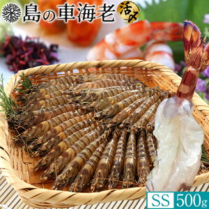 ̎ԊCV hg YⓀySSz500gm26-28nV 炿 Ԃ F{Y 쓇 N}Gr {B H Ԃ GrtC ĂmΕ NX}Xv[g ӂ邳ƃMtg