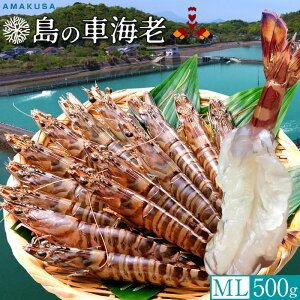 ̎ԊCVmVѐn܂ Ԃъ 500gmML 15-22n炿 V ԃGr hg F{Y N}Gr   xH ԂԁmΕ NX}Xv[g ӂ